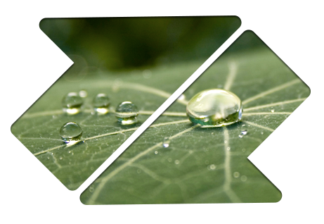 Soil Remediation